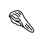 Achuras